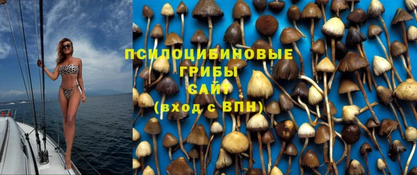 mix Осташков