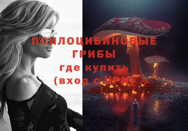 a pvp Осинники