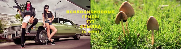 крисы Остров